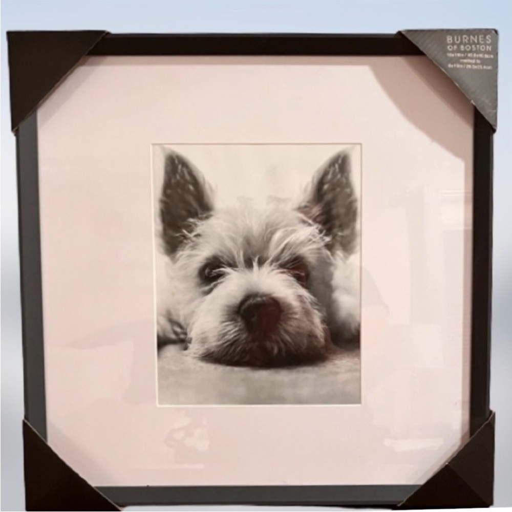 NWT- Burnes of Boston 16x16 Black Gallery Picture Frame.